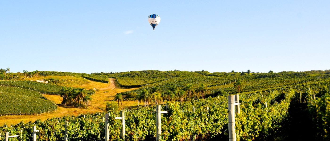 best Uruguay wine tours - Wine Paths